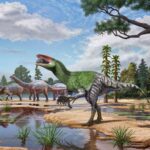 Century-Old Fossil Drawer Discovery Reveals New British Dinosaur Species