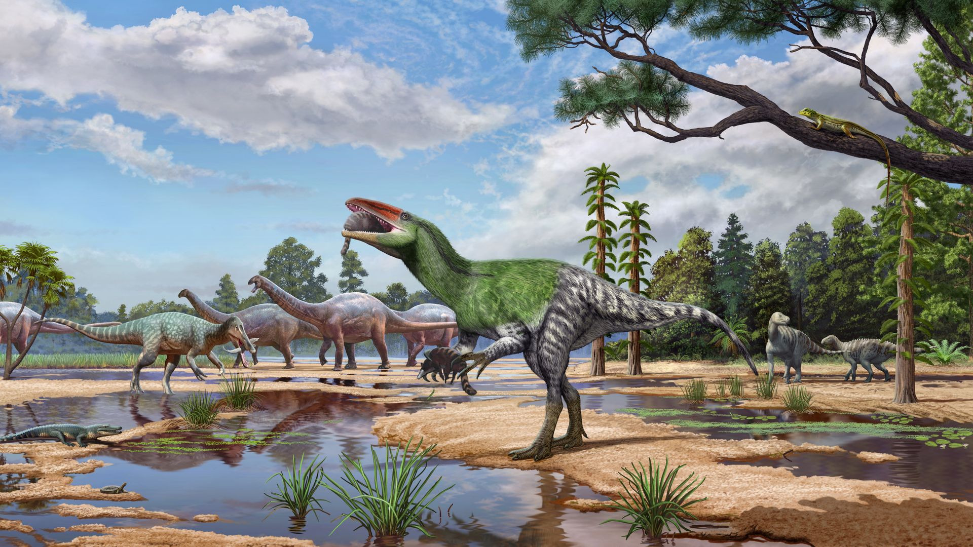 Century-Old Fossil Drawer Discovery Reveals New British Dinosaur Species