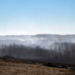 Four Canadian Soldiers Killed in Rapid Alberta Grass Fire During NATO Training
