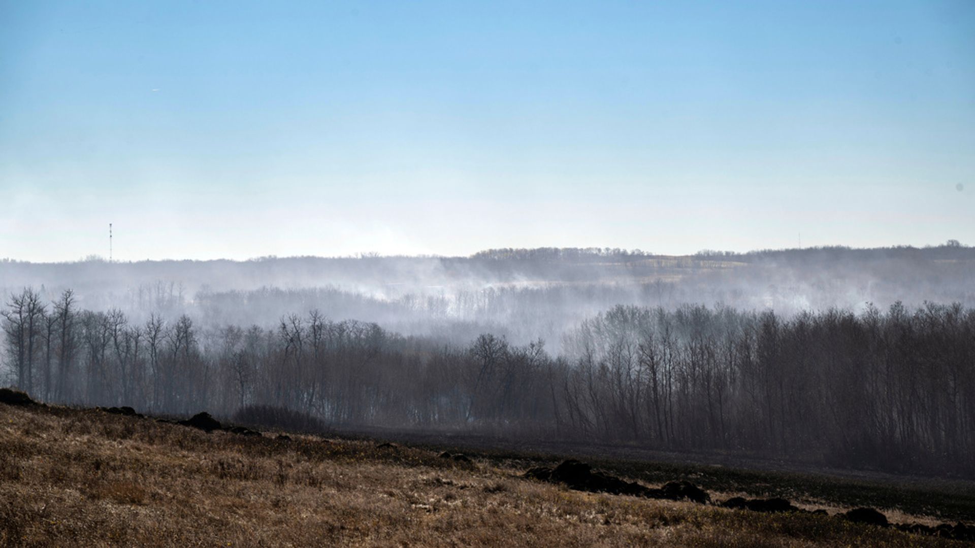Four Canadian Soldiers Killed in Rapid Alberta Grass Fire During NATO Training Four Canadian Soldiers Killed in Rapid Alberta Grass Fire During NATO Training