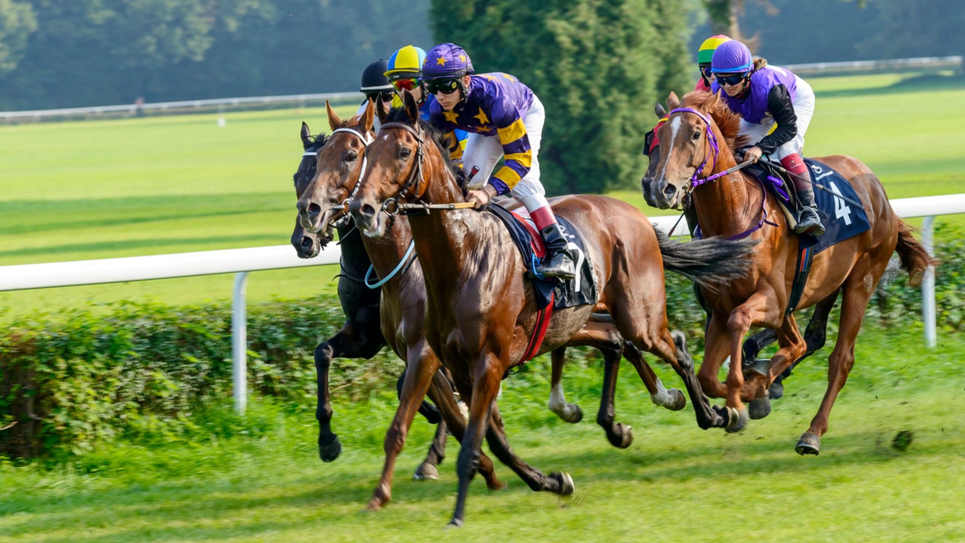 BetGoodwin Targets £80 Million London Stock Market Debut