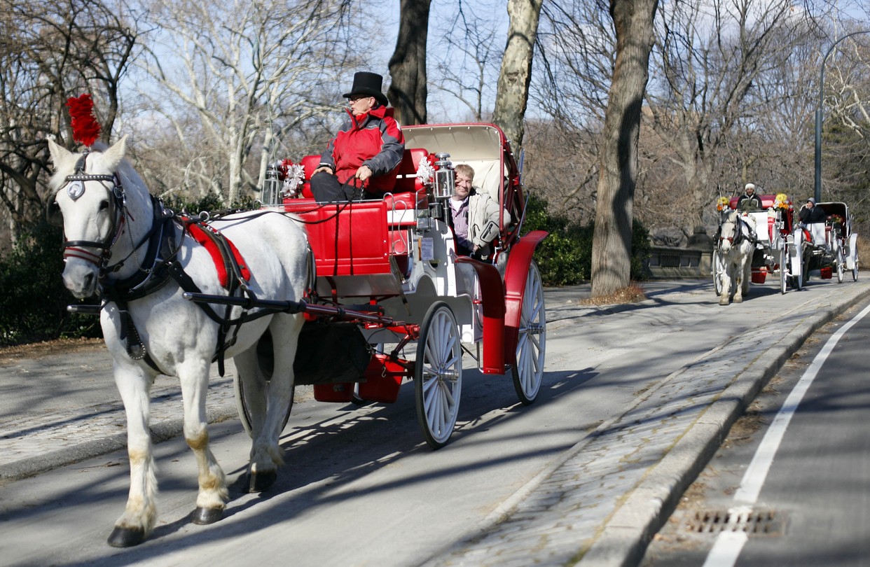 New York City Plans Ban on Central Park Horse-Drawn Carriages Following Tragic Teen Death New York City Plans Ban on Central Park Horse-Drawn Carriages Following Tragic Teen Death