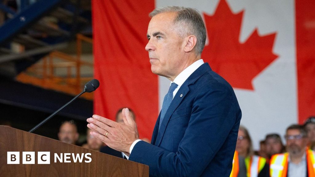 Canadian PM Carney Dismisses US Election Interference Allegations as Baseless Canadian PM Carney Dismisses US Election Interference Allegations as Baseless
