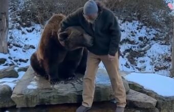 Bosnian Man’s Unlikely Bond: Rescued Bear Cub Becomes Lifelong Companion