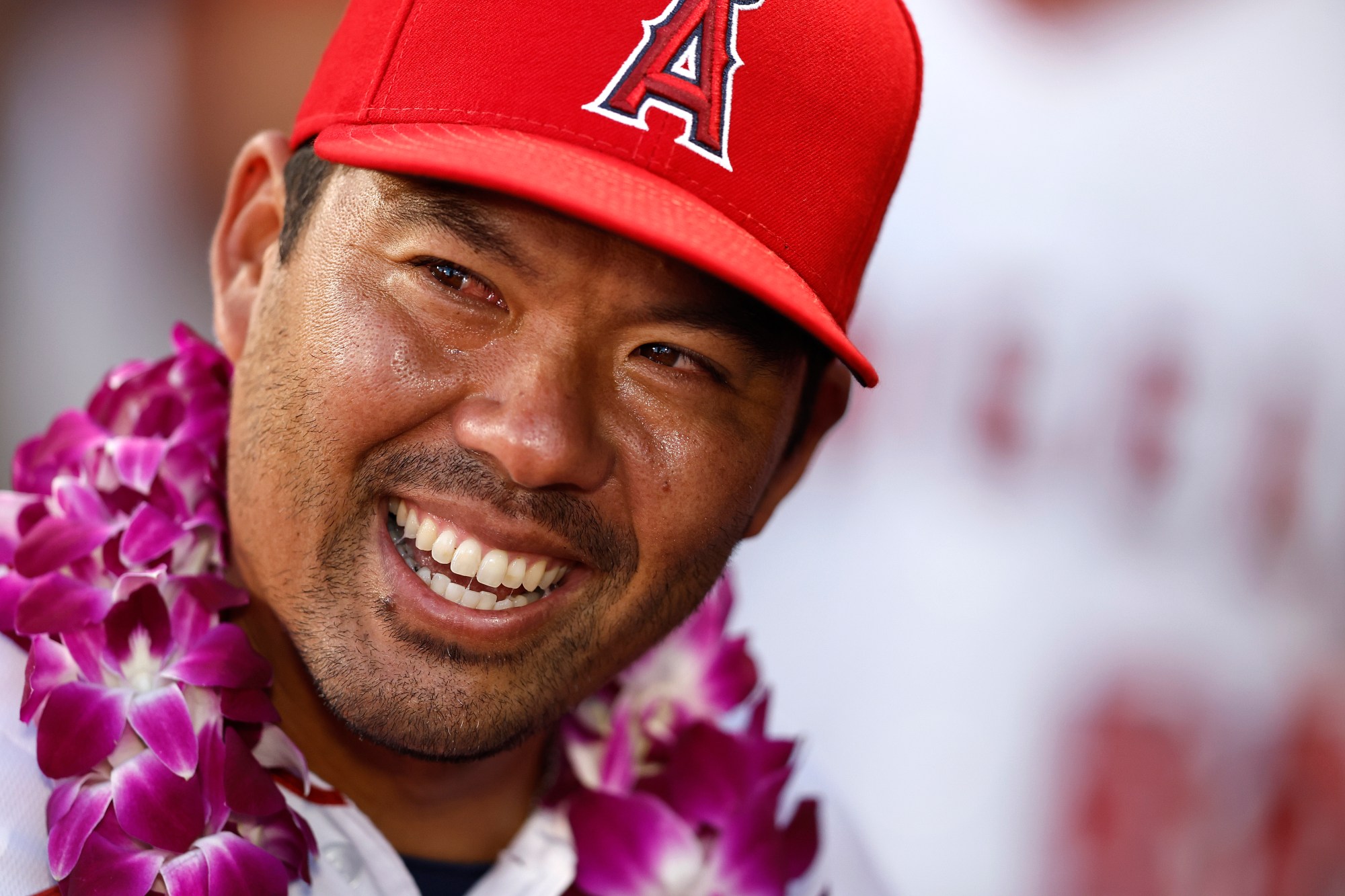 Los Angeles Angels Fire Manager Kurt Suzuki Following Historic 100-Loss Season Los Angeles Angels Fire Manager Kurt Suzuki Following Historic 100-Loss Season